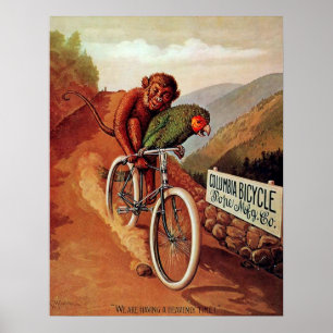 Pôster Passeio cómico da bicicleta do papagaio do macaco
