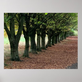 Poster Passeio nos bosques 