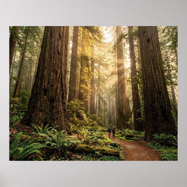 Poster Passeio pela Floresta (Frente)