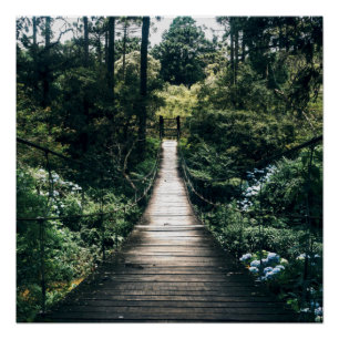 Pôster Passeio Pela Floresta