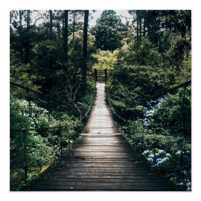 Pôster Passeio Pela Floresta (Frente)