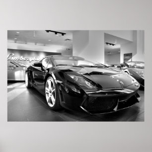 Pôster Passeio preto e branco