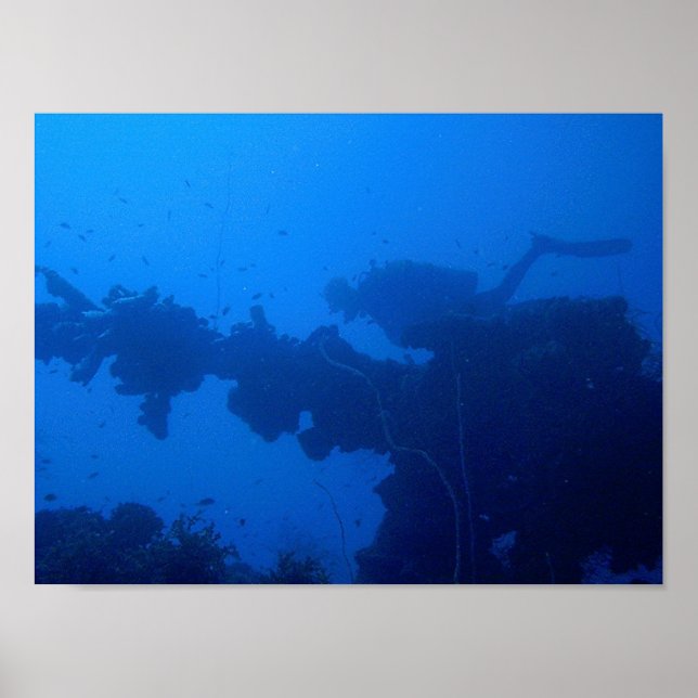 Poster Passing Diver (Frente)