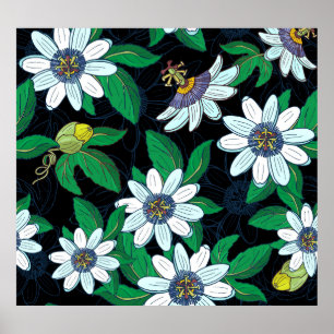 Poster Passionflower Black Background Floral Sem Costura