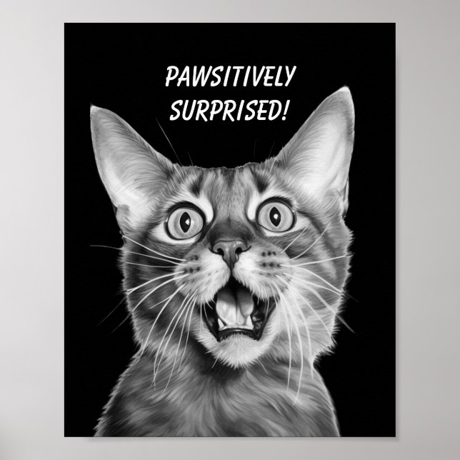 Poster PASSIVAMENTE SURPREENDIDO! Gato Louco Engraçado (Frente)