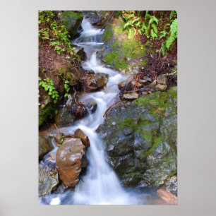 Pôster Passo a passo