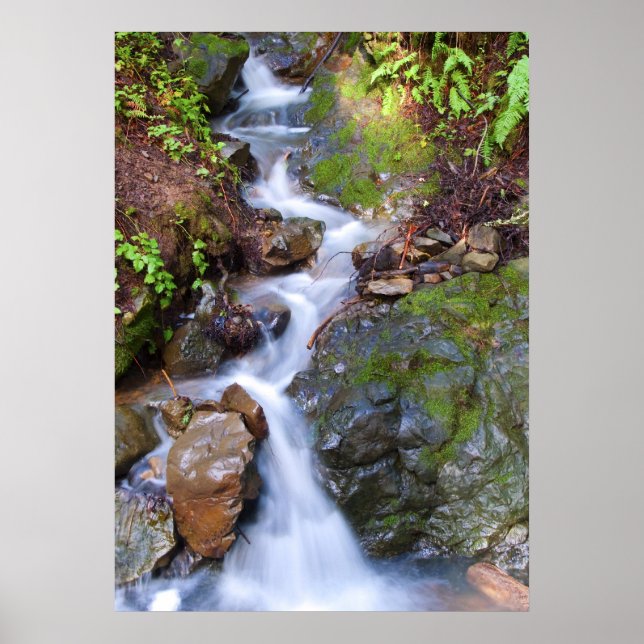 Pôster Passo a passo (Frente)