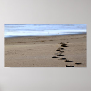 Pôster Passos da praia