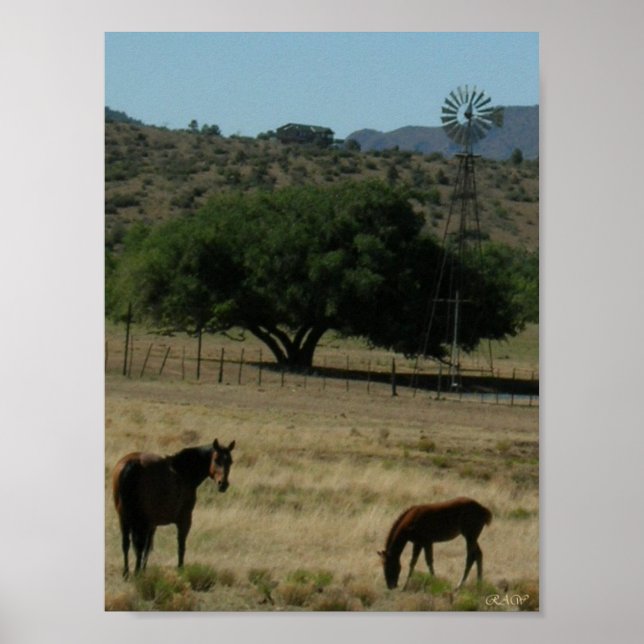 Pôster Pastagem perfeita (Frente)