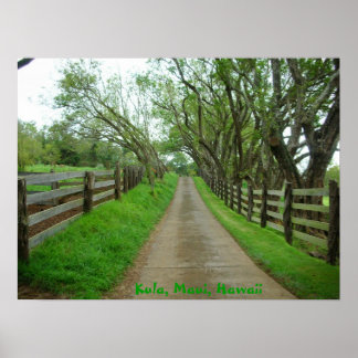 Pôster Pastagens Greener