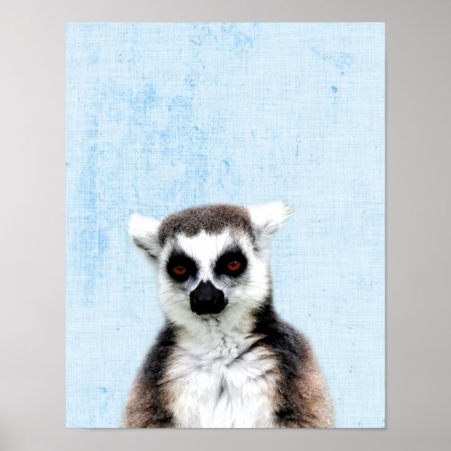 Poster Pastel Blue Peekaboo Lemur (Frente)