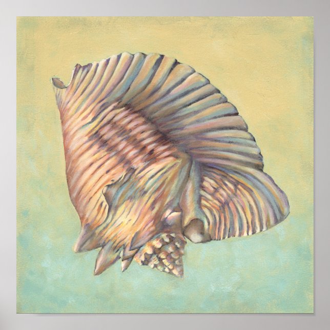 Poster Pastel Grande Shell de Conch (Frente)