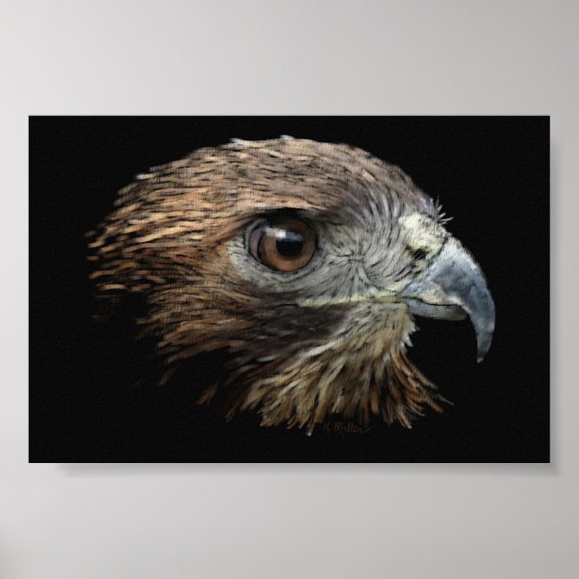 Poster Pastel Hawk de cauda vermelha (Frente)