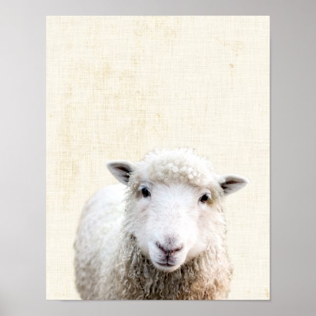Poster Pastel Yellow Peekaboo Sheep Minimalist Nursery (Frente)