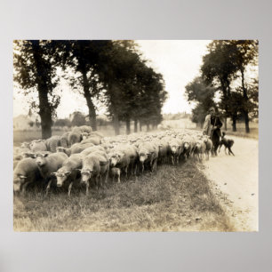 Pôster Pastor de 1921 franceses