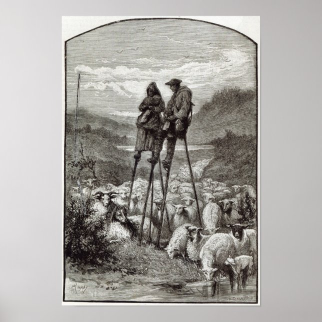 Poster Pastoral nas Landes (Frente)