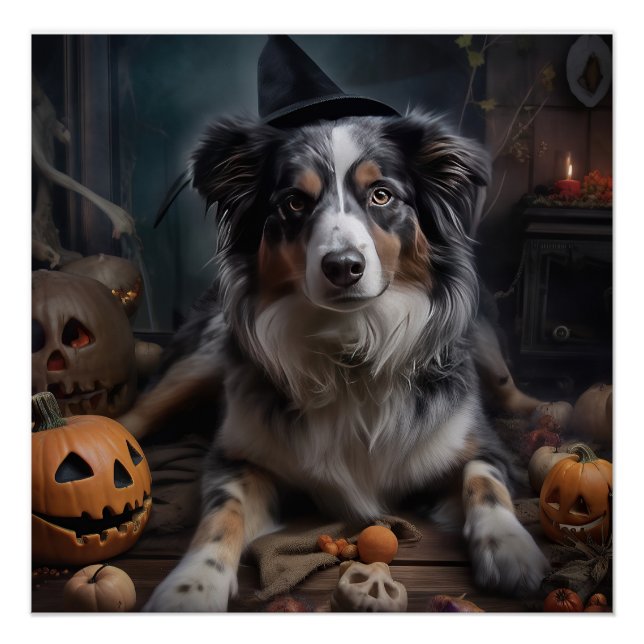 Pôster Pastores Australianos Abóboras Halloween Assustado (Frente)