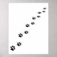 Pata de gato preto em branco