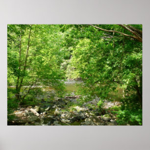 Pôster Patapsco River View Maryland - Fotografia Natural