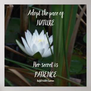 Poster Patience Emerson - Lotus de Cotação Inspiracional