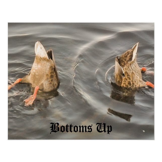 Pôster Pato (Frente)