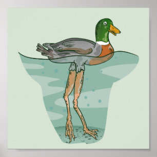 Poster Pato alto com pernas longas