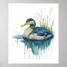 pato aquarela