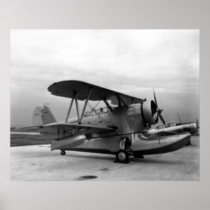 Pôster Pato de Grumman J2F-3