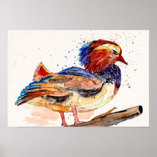Poster Pato de mandarim