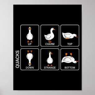 Poster Pato de meme engraçado de física trocadilho grasna