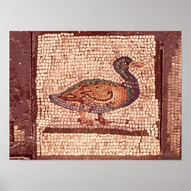 Poster Pato, detalhe de Orfeu Encharcando os Animais (Frente)