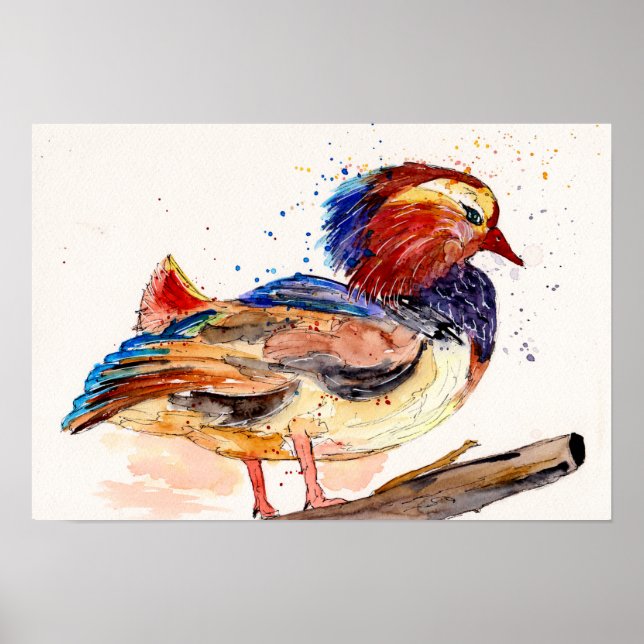 Poster Pato-mandarim Aquarela (Frente)
