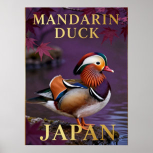 Poster 🦆 Pato-mandarim Japão Ave Exótica