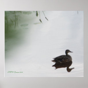 Pôster Pato Mystical