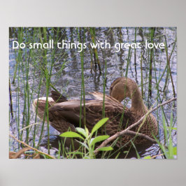 Pôster Pato se ajeitando entre os juncos
