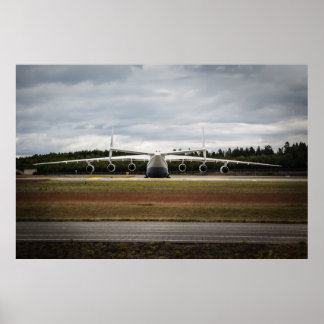 Pôster Pato sentado