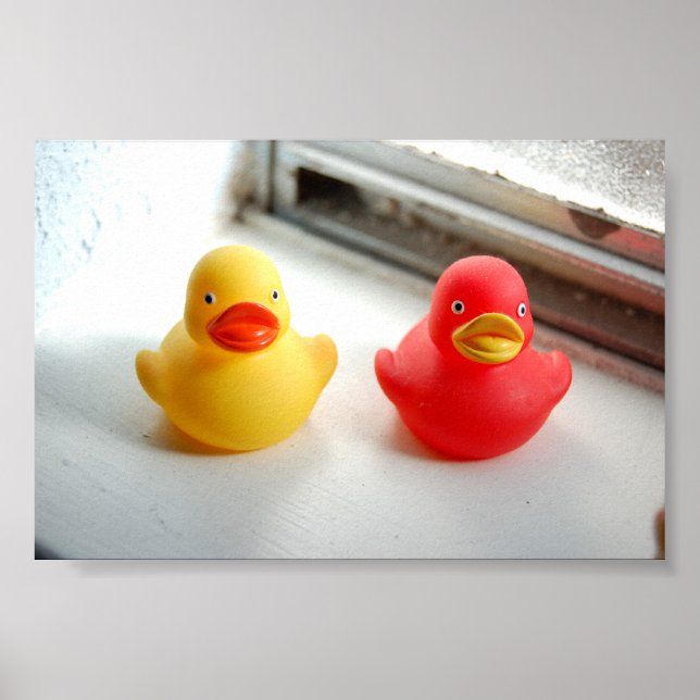 Poster Patos (Frente)