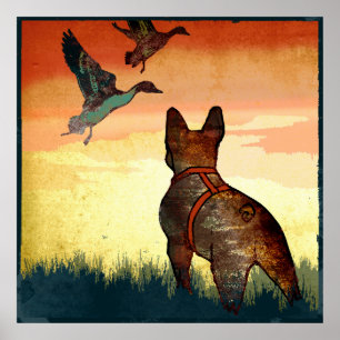 Poster Patos