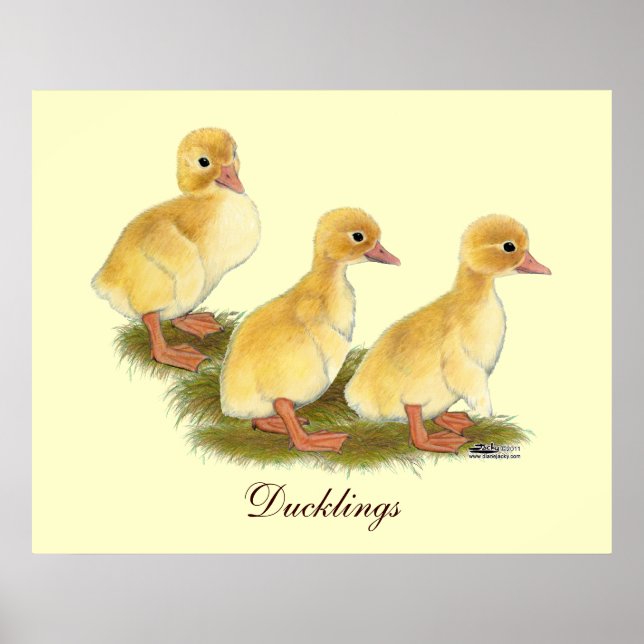 Poster Patos Amarelos (Frente)