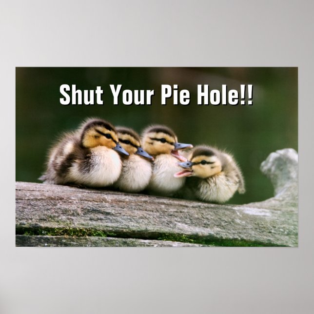 Pôster Patos Bebês (Frente)