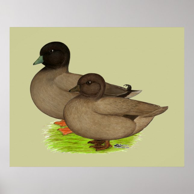 Pôster Patos: Chamadas Khaki (Frente)