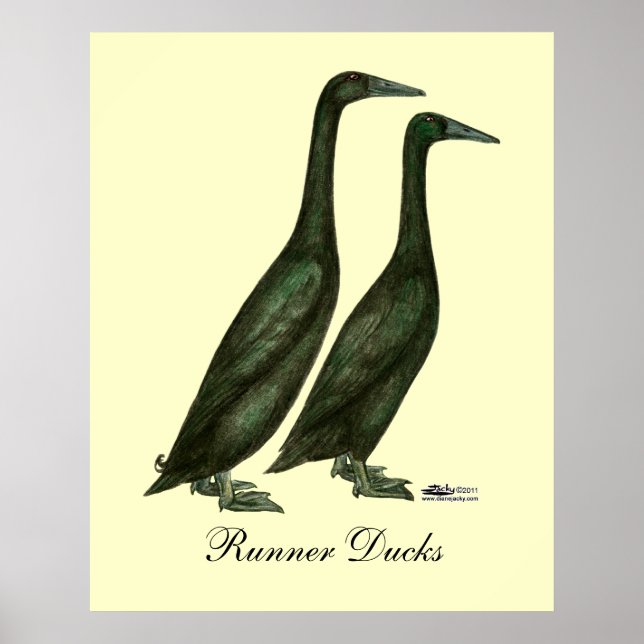 Poster Patos-Corredor Negros (Frente)