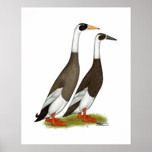 Poster Patos:  Corredores escritos esmeril