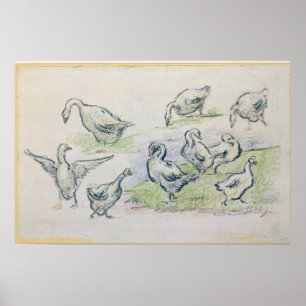 Pôster Patos de Alfred Sisley