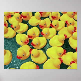 Poster Patos de borracha