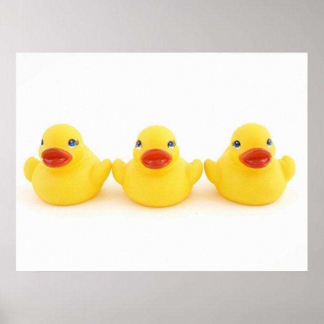 Poster Patos de Borracha Amarelos (Frente)