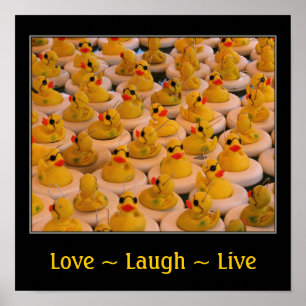 Poster Patos de Borracha Inspiradores Amar Amor Rir Viver