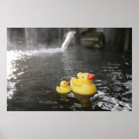 Patos de Borracha Japoneses