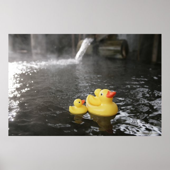 Poster Patos de borracha japoneses (Frente)