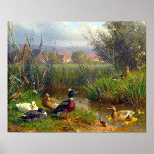 Poster Patos de Carl Jutz